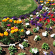 Illustration for article titled Pictures of Flowers (for Mothers Day)